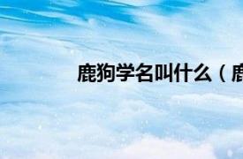 鹿狗学名叫什么（鹿狗相关内容简介介绍）