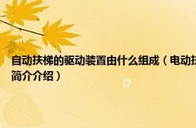 自动扶梯的驱动装置由什么组成（电动扶梯 用于运送乘客的固定电力驱动设备相关内容简介介绍）