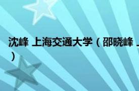 沈峰 上海交通大学（邵晓峰 上海交通大学教授相关内容简介介绍）