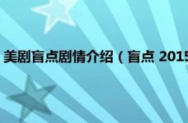 美剧盲点剧情介绍（盲点 2015年美国电视剧相关内容简介介绍）