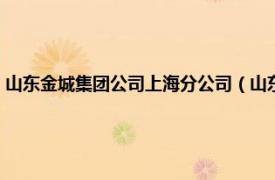 山东金城集团公司上海分公司（山东金城股份有限公司相关内容简介介绍）