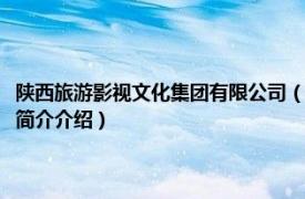 陕西旅游影视文化集团有限公司（陕西追风影视文化传播有限公司相关内容简介介绍）