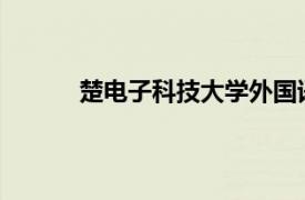 楚电子科技大学外国语学院教授相关内容简介