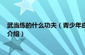 武当练的什么功夫（青少年应该知道的：武当功夫相关内容简介介绍）