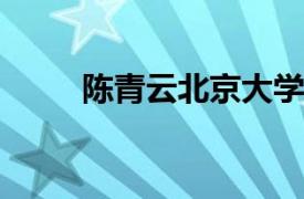 陈青云北京大学政府管理学院教授