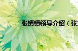 张镇镇领导介绍（张塝镇相关内容简介介绍）