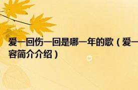 爱一回伤一回是哪一年的歌（爱一回伤一回 2020年正伟演唱的歌曲相关内容简介介绍）