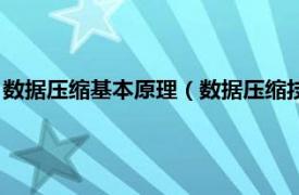 数据压缩基本原理（数据压缩技术原理与范例相关内容简介介绍）