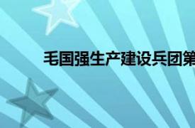 毛国强生产建设兵团第二师中级法院原院长简介