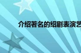 介绍著名的绍剧表演艺术家、七岁男孩的二儿子