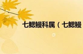 七鳃鳗科属（七鳃鳗 中药相关内容简介介绍）