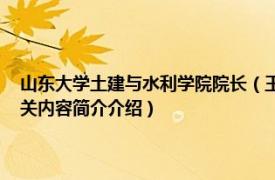 山东大学土建与水利学院院长（王培军 山东大学土建与水利学院副教授相关内容简介介绍）