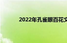 2022年孔雀眼百花文艺出版社出版图书简介