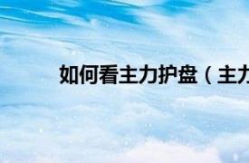 如何看主力护盘（主力护盘相关内容简介介绍）