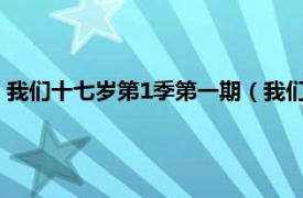 我们十七岁第1季第一期（我们十七岁第一季相关内容简介介绍）