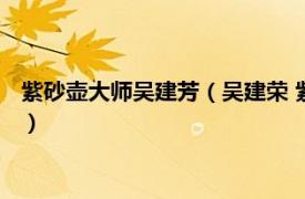 紫砂壶大师吴建芳（吴建荣 紫砂工艺美术大师相关内容简介介绍）