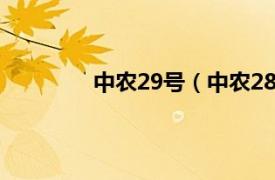 中农29号（中农28号相关内容简介介绍）