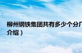 柳州钢铁集团共有多少个分厂（广西柳州钢铁集团相关内容简介介绍）