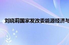 刘晓莉国家发改委能源经济与发展战略研究中心相关内容简介