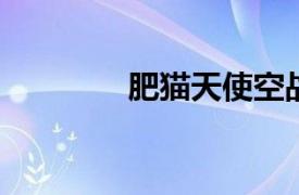 肥猫天使空战相关内容简介