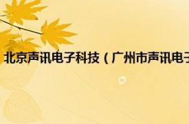 北京声讯电子科技（广州市声讯电子科技股份有限公司相关内容简介介绍）