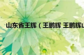 山东省王辉（王鹏辉 王鹏辉山东大学教授相关内容简介介绍）