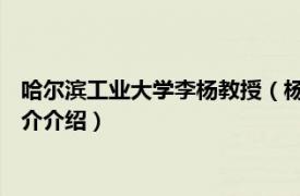 哈尔滨工业大学李杨教授（杨谦 哈尔滨工业大学教授相关内容简介介绍）