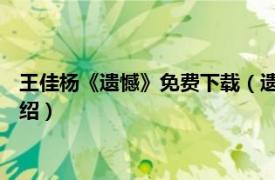 王佳杨《遗憾》免费下载（遗憾 王佳杨演唱歌曲相关内容简介介绍）