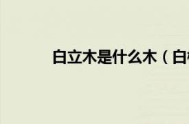 白立木是什么木（白檫木相关内容简介介绍）