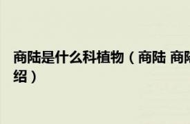 商陆是什么科植物（商陆 商陆科商陆属草本植物相关内容简介介绍）