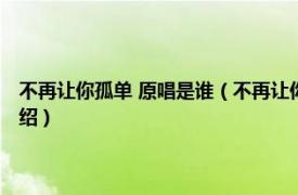 不再让你孤单 原唱是谁（不再让你孤单 水木年华演唱歌曲相关内容简介介绍）