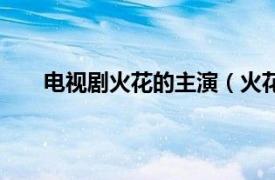 电视剧火花的主演（火花电视剧相关内容简介介绍）