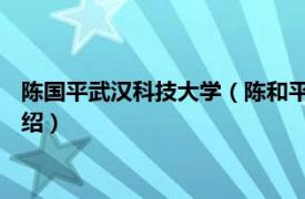 陈国平武汉科技大学（陈和平 武汉科技大学教授相关内容简介介绍）