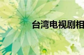 台湾电视剧相关内容简介介绍