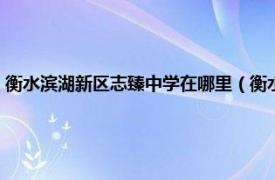 衡水滨湖新区志臻中学在哪里（衡水滨湖新区志臻中学相关内容简介介绍）