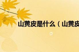 山黄皮是什么（山黄皮 中药相关内容简介介绍）