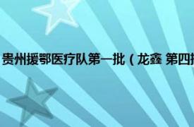 贵州援鄂医疗队第一批（龙鑫 第四批贵州援鄂抗疫人员相关内容简介介绍）