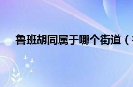 鲁班胡同属于哪个街道（鲁班胡同相关内容简介介绍）