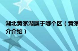 湖北黄家湖属于哪个区（黄家湖 湖北省武汉市黄家湖相关内容简介介绍）