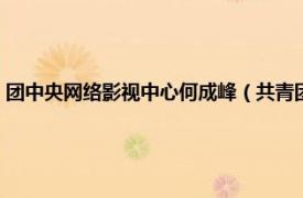 团中央网络影视中心何成峰（共青团中央网络影视中心相关内容简介介绍）