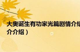 大奥诞生有功家光篇剧情介绍（大奥诞生有功家光篇相关内容简介介绍）