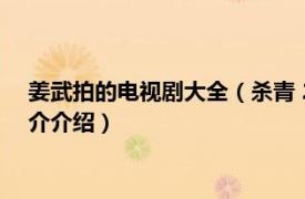 姜武拍的电视剧大全（杀青 2003年姜武主演电视剧相关内容简介介绍）