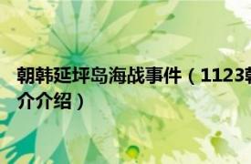 朝韩延坪岛海战事件（1123朝鲜韩国延坪岛交火事件相关内容简介介绍）