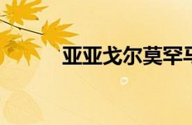 亚亚戈尔莫罕马迪相关内容介绍