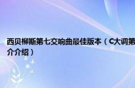 西贝柳斯第七交响曲最佳版本（C大调第七交响曲 西贝柳斯C大调第七交响曲相关内容简介介绍）