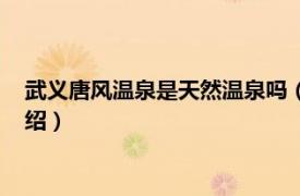 武义唐风温泉是天然温泉吗（武义唐风露天温泉相关内容简介介绍）