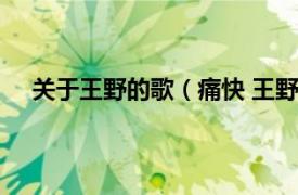 关于王野的歌（痛快 王野演唱歌曲相关内容简介介绍）