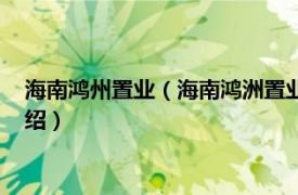 海南鸿州置业（海南鸿洲置业集团股份有限公司相关内容简介介绍）