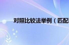 对照比较法举例（匹配比较法相关内容简介介绍）