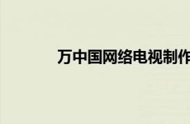 万中国网络电视制作中心主任相关内容简介